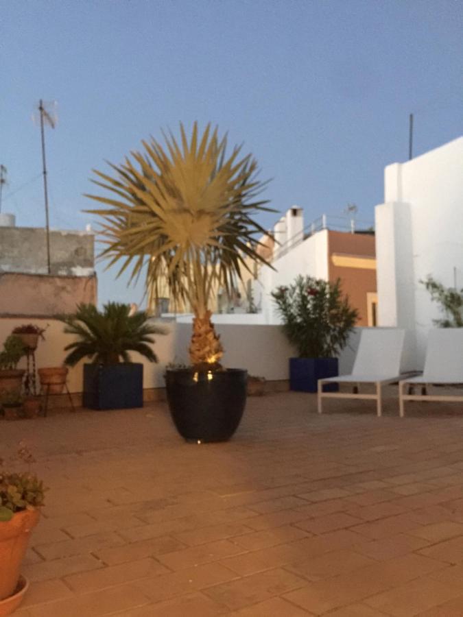 شقة La Terraza De San Pedro كاديز المظهر الخارجي الصورة